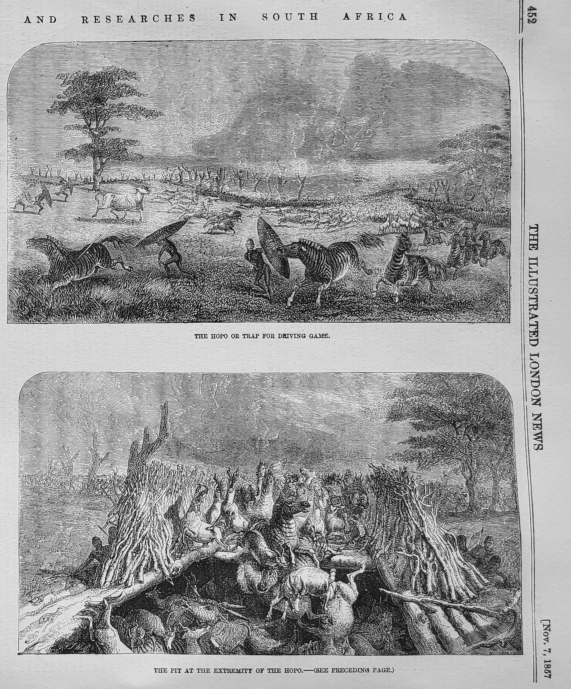 Livingstone animal trap and pit